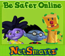 Net Smartz
